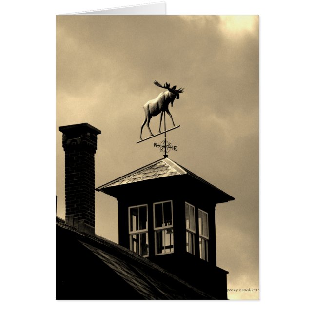 Moose Météo Vane Nouvelle-Angleterre (Devant)