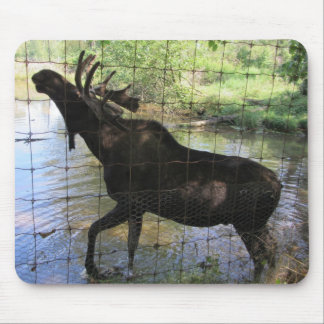 Moose Mouse Pad
