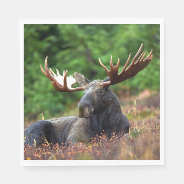 Moose Napkin (Front)