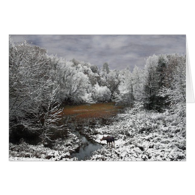 Moose on Snowy Oxbow (Front Horizontal)