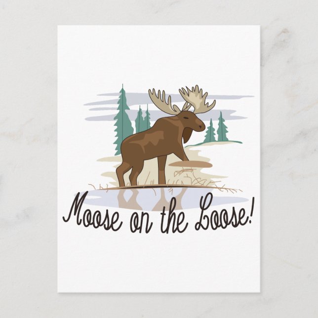 Moose on the Loose! Postcard (Front)