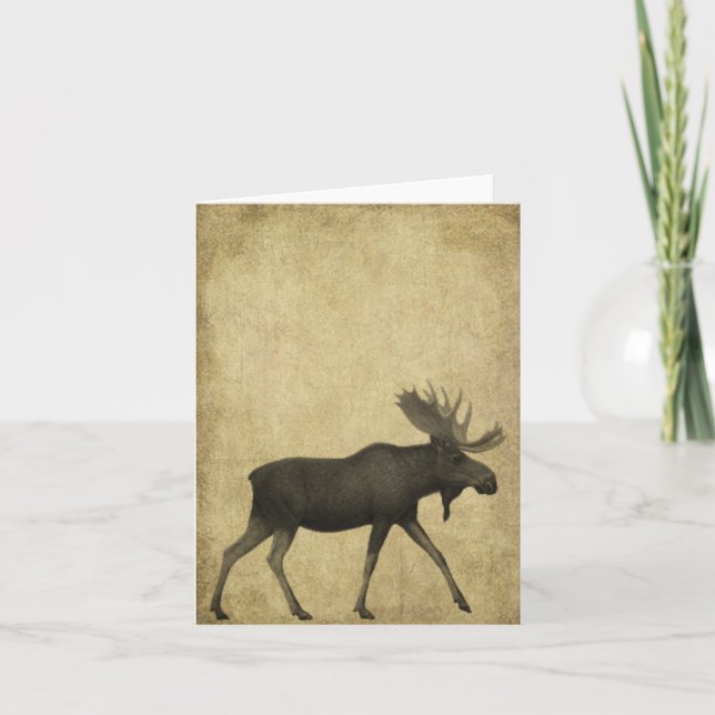 Moose On The Loose- Prim Lil Note Cards (Front)