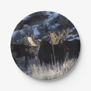 Moose pack paper plate