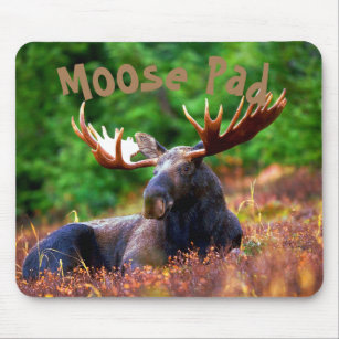 Moose Pad Mouse Pad