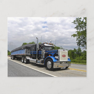Moose Peterbilt 359 Postcard