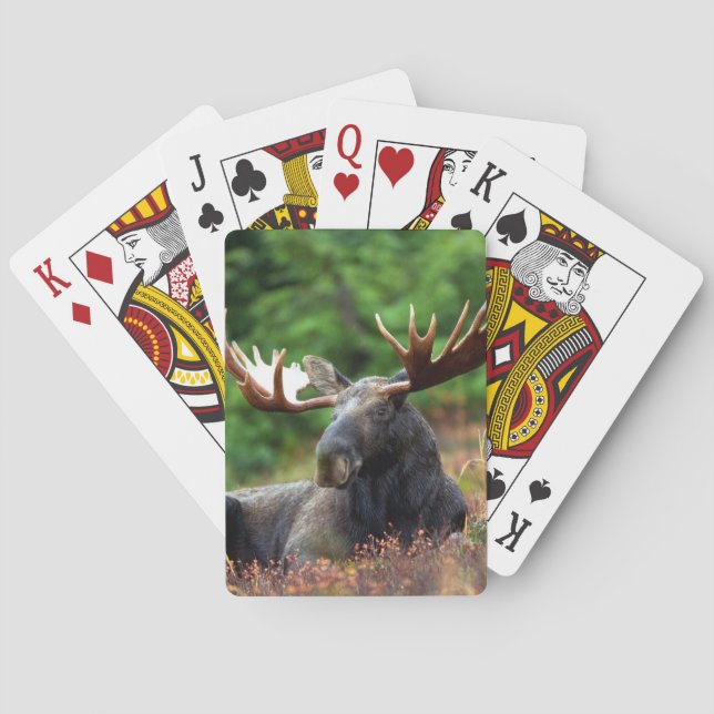Moose Playing Cards (Back)