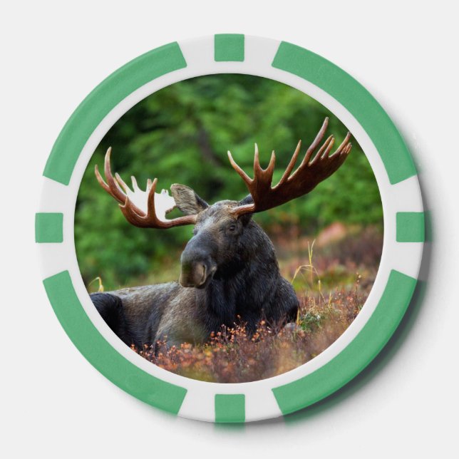 Moose Poker Chips (Front)