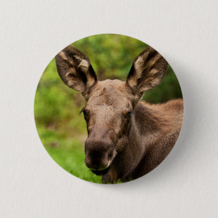 Moose Portrait 2 Inch Round Button