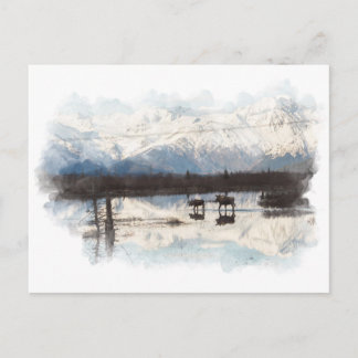 Moose Postcard