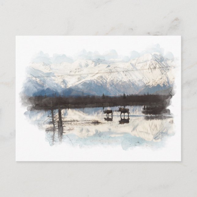 Moose Postcard (Front)