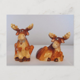 moose postcard