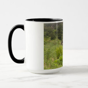 Moose Relaxing in Nature - Wildlife Photo Mug