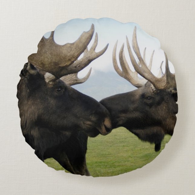 Moose Round Pillow (Front)