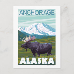Moose Scene - Anchorage, Alaska Postcard