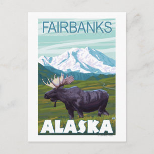 Moose Scene - Fairbanks, Alaska Postcard