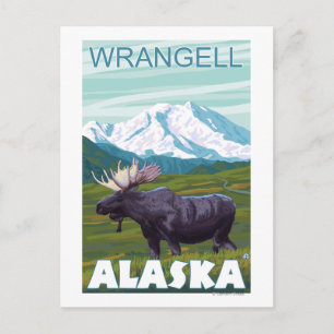 Moose Scene - Wrangell, Alaska Postcard