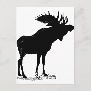 Moose Silhouette Postcard