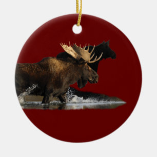moose splash ceramic ornament