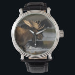 moose splashing in the water watch<br><div class="desc">Bull moose splashing in the water after female... Using amazing, unique, and high-quality images of wildlife and nature, WorldDesign is dedicated to creating fun and beautiful products for people to enjoy, share, and promote as gifts. We are a Zazzle Elite ProDesigner and own the copyright to all the images presented...</div>