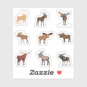 Moose Stickers