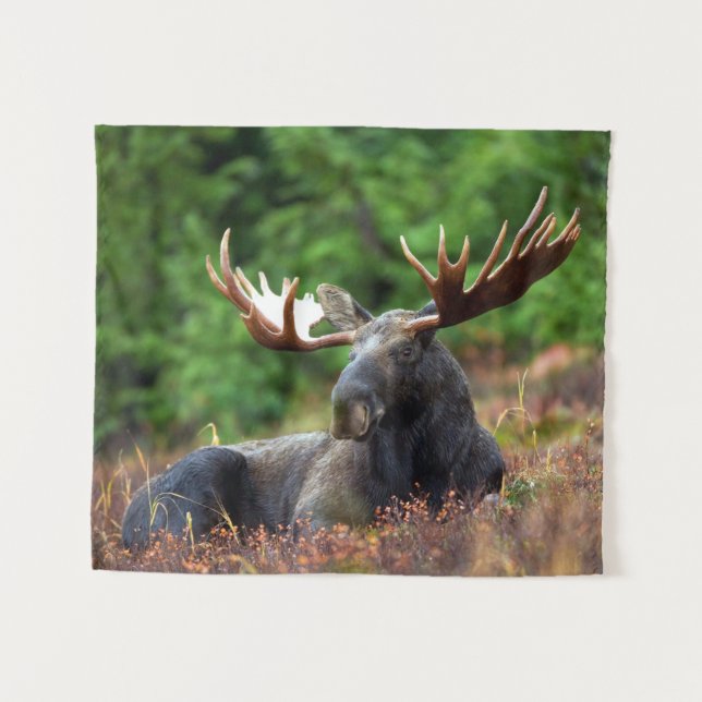 Moose Tapestry (Front (Horizontal))