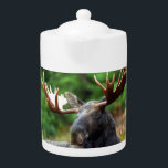 Moose Teapot<br><div class="desc">Moose Teapot. Magnificent photo of a majestic moose reclining in a field of wildflowers. Photo by Shivam Kumar.</div>