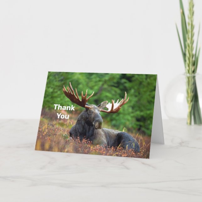 Moose Thank You Card (Front)