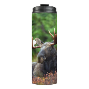 Moose Thermal Tumbler