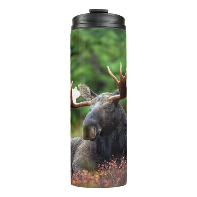 Moose Thermal Tumbler (Front)