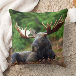 Moose throw pillow