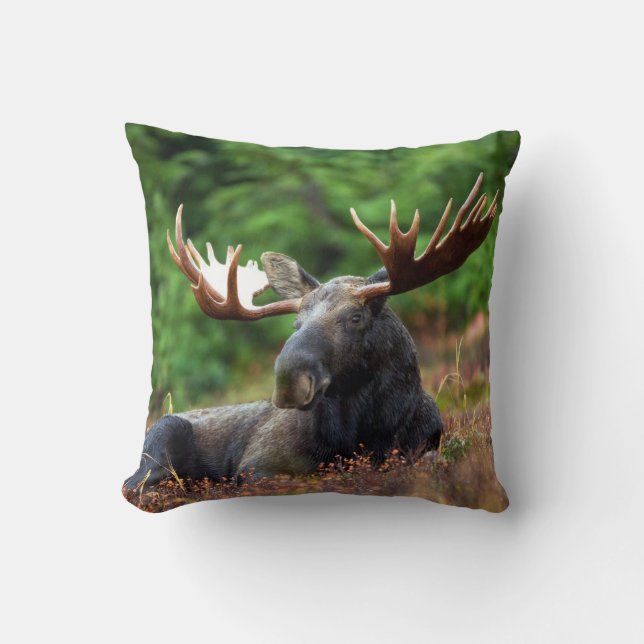 Moose Throw Pillow (Front)
