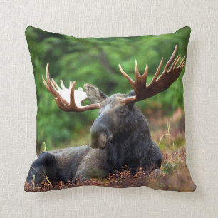 Moose Throw Pillow