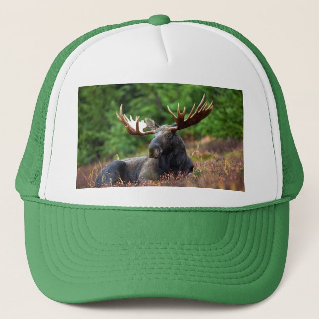 Moose Trucker Hat (Front)
