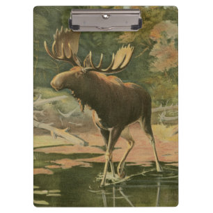 Moose Walking in Water Clipboard