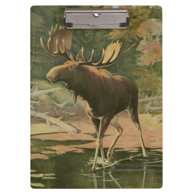 Moose Walking in Water Clipboard (Front)