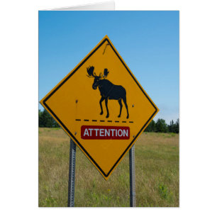 Moose Warning Sign