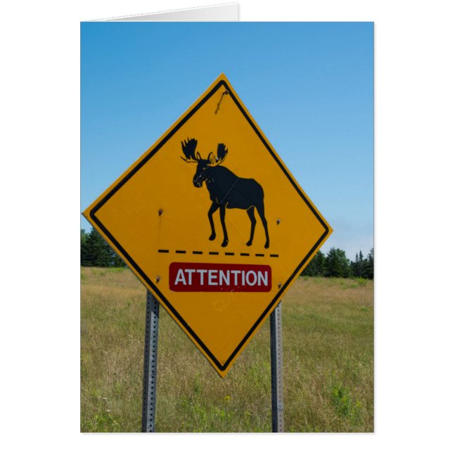 Moose Warning Sign (Front)