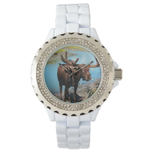 Moose Watch (Front)