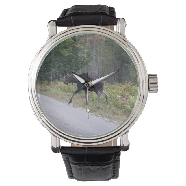 Moose Watch (Front)