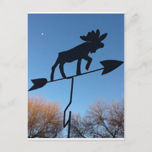 Moose weathervane postcard