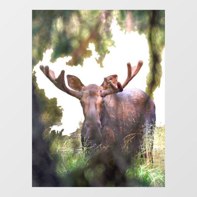 Moose Window Cling (Sheet)