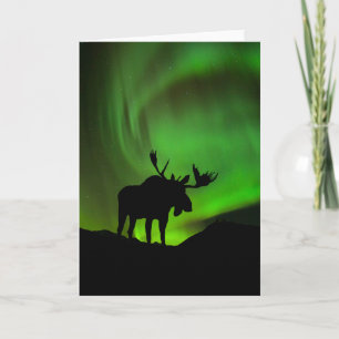 Moose with Green Aurora Borealis, Alaska Card