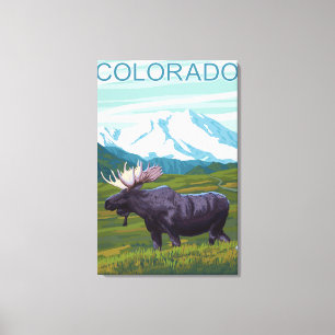 Moose with MountainColorado Canvas Print