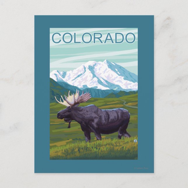 Moose with MountainColorado Postcard (Front)