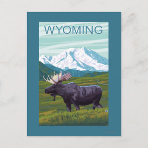 Moose with MountainWyoming Postcard