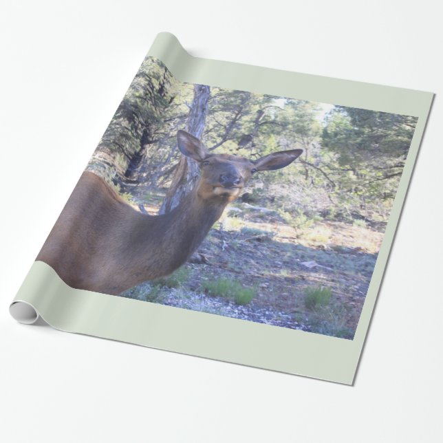 Moose Wrapping Paper (Unrolled)