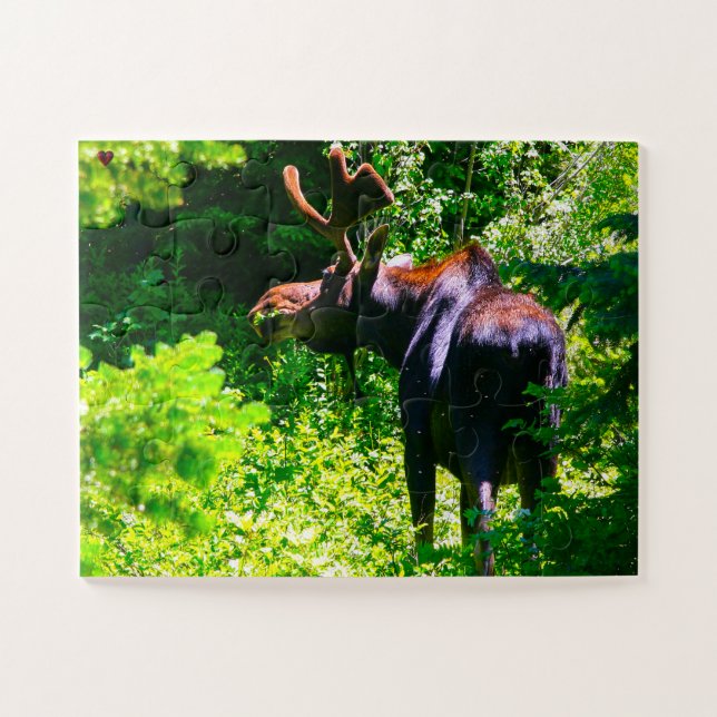 Moose Wyoming Jigsaw Puzzle (Horizontal)