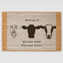 Mooving in
