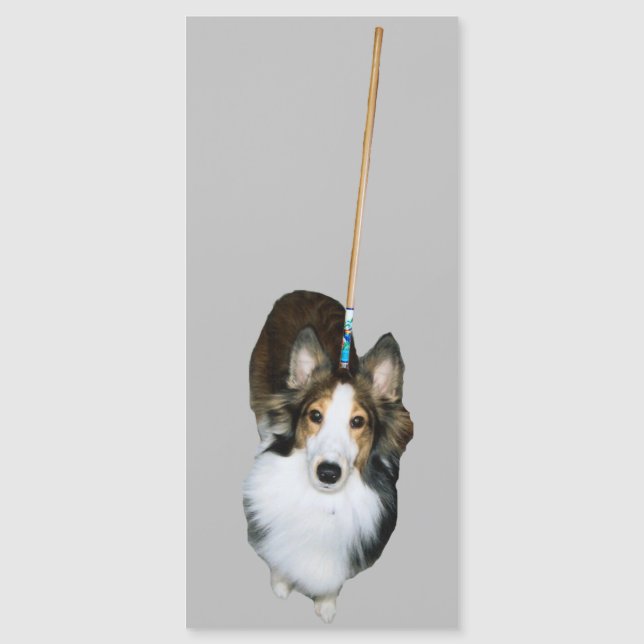 Mop Dog (Front)