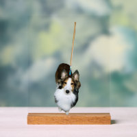 Mop Dog